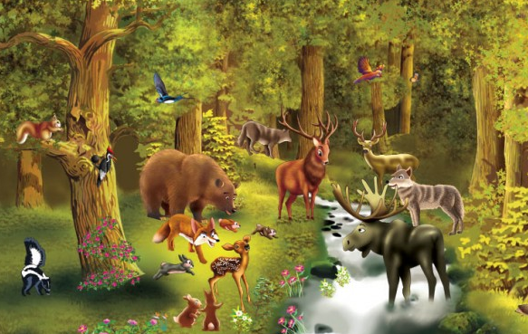 Puzzle Nivel 5: Animales del bosque | Recurso educativo 34317