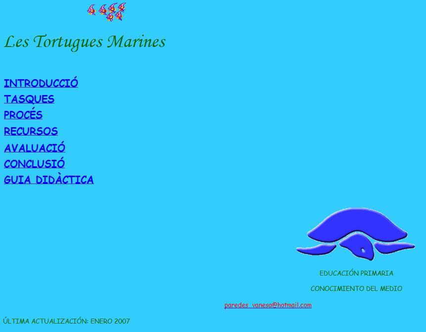 Les tortugues marines | Recurso educativo 38276