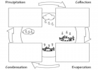 The water cycle | Recurso educativo 38657