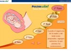 Fases del parto | Recurso educativo 43279