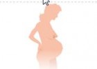 El embarazo paso a paso | Recurso educativo 44985