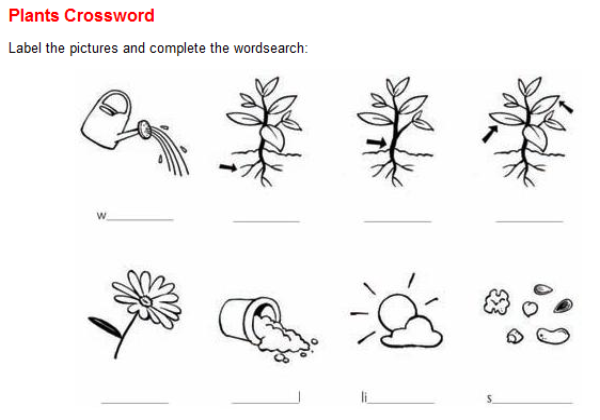 Plants crossword | Recurso educativo 45623