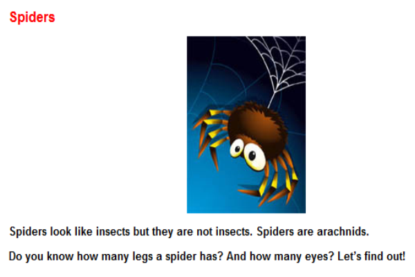 Spiders | Recurso educativo 45673