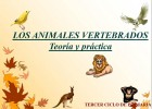 Los animales vertebrados: Teoría y práctica | Recurso educativo 47439