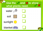 The importance of plants | Recurso educativo 47475