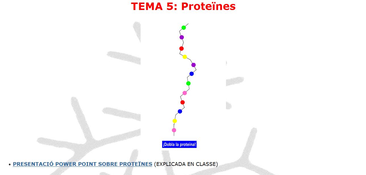 Les proteïnes | Recurso educativo 48980
