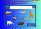 Animal adaptations | Recurso educativo 50511