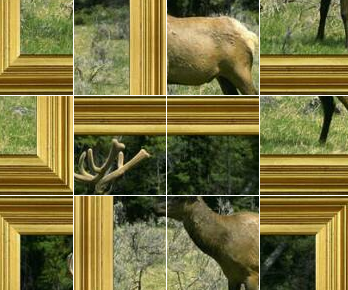 Puzzle interactivo: ciervo | Recurso educativo 50645