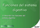 Funciones del sistema digestivo | Recurso educativo 50706