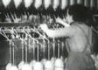 El trabajo femenino en el sector de la confección en España (1960-1970) | Recurso educativo 55305