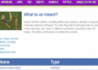 Insects | Recurso educativo 13403