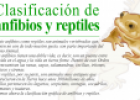 Clasificación de anfibios y reptiles | Recurso educativo 17682