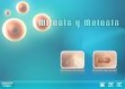 mitosis y meiosis | Recurso educativo 2348