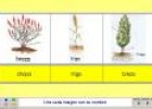 Las plantas | Recurso educativo 4092