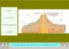 Els volcans i els terratrèmols | Recurso educativo 4522