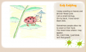 Lady ladybug | Recurso educativo 66392