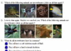 Invertebrates quiz | Recurso educativo 67587