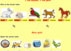 I've got a lot of pets | Recurso educativo 70150