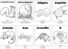 Animals colouring pages | Recurso educativo 70261