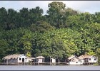 Navegando el Amazonas | Recurso educativo 71521
