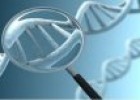 Genética humana | Recurso educativo 72235