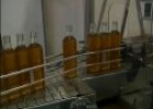 Vídeo sobre la elaboración del aceite | Recurso educativo 74824