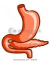 Trastornos del estómago y del duodeno | Recurso educativo 79345
