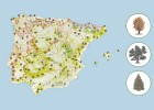 Las regiones biogeograficas españolas | Recurso educativo 93079