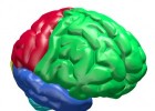 Neurociencia - YouTube | Recurso educativo 677249