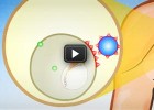 AIDS | Onlinel Game | Control the infection of AIDS | Recurso educativo 683317