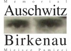 Auschwitz-Birkenau - Wirtualne zwiedzanie | Recurso educativo 725502