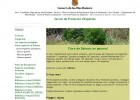 La vegetació a les Illes Balears | Recurso educativo 728210