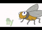Insects | Recurso educativo 736586