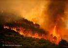Los incendios en España | Recurso educativo 737279
