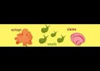 What is a Mollusk? | Recurso educativo 737329