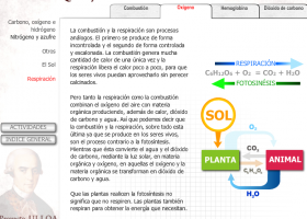 Reacciones con el oxígeno: combustión y respiración | Recurso educativo 739095