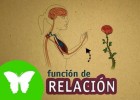 La Eduteca - La función de relación | Recurso educativo 740259
