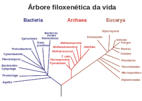 Sistema de tres dominios - Wikipedia, a enciclopedia libre | Recurso educativo 740839