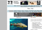 Darwins Galapagos - Fish | Recurso educativo 742200
