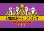 Great Glands - Your Endocrine System: CrashCourse Biology #33 | Recurso educativo 742772