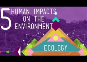 5 Human Impacts on the Environment | Recurso educativo 744918