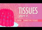 Connective Tissues | Recurso educativo 746707