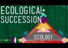 Ecological Succession - Crash Course Ecology | Recurso educativo 749975