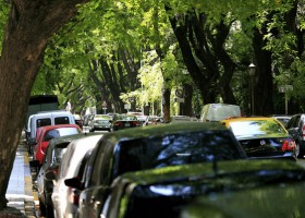 Trees in urban areas reflect income inequality USA | Recurso educativo 750886