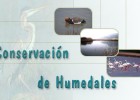 Conservación de zonas húmidas | Recurso educativo 751940