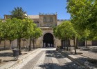 Patio de los Naranjos de la Mezquita de Córdoba | Recurso educativo 753876