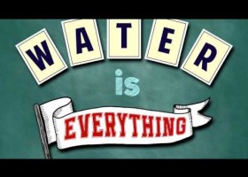 The Water Song | Recurso educativo 765407