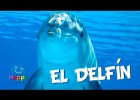 El Delfín | Videos Educativos para Niños | Recurso educativo 767963