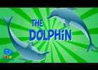 The Dolphin | Educational Video for Kids. | Recurso educativo 768377