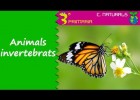 Els animals invertebrats | Recurso educativo 774645